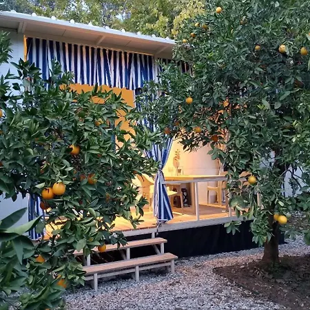 Citrrus Bungalow And Camping